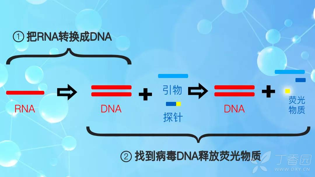 核酸檢測用到的技術(shù)