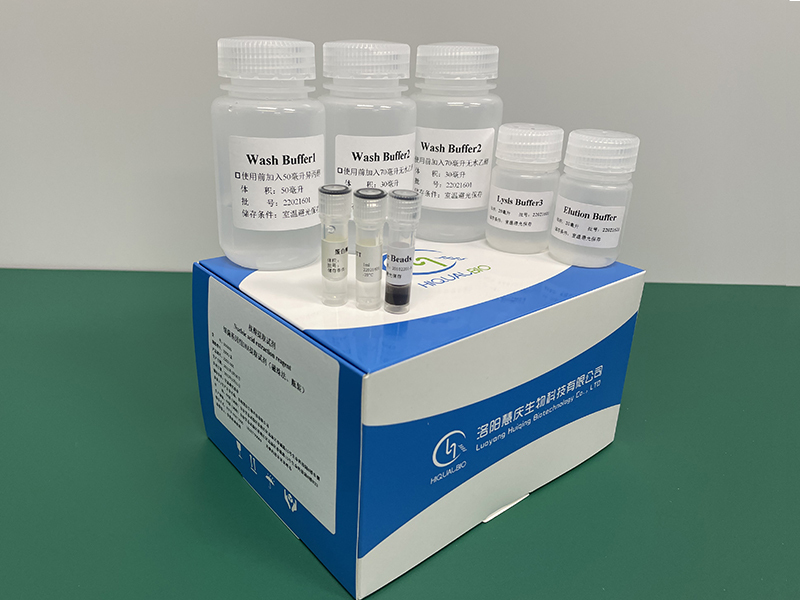 如何更好的獲得細菌基因組DNA/RNA？慧慶實驗成果分析