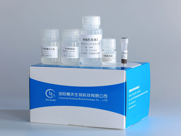 核酸提取試劑在動物檢疫中的應用優(yōu)勢和注意事項
