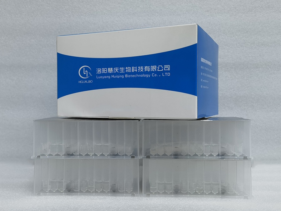 真菌核酸提取需要注意什么？