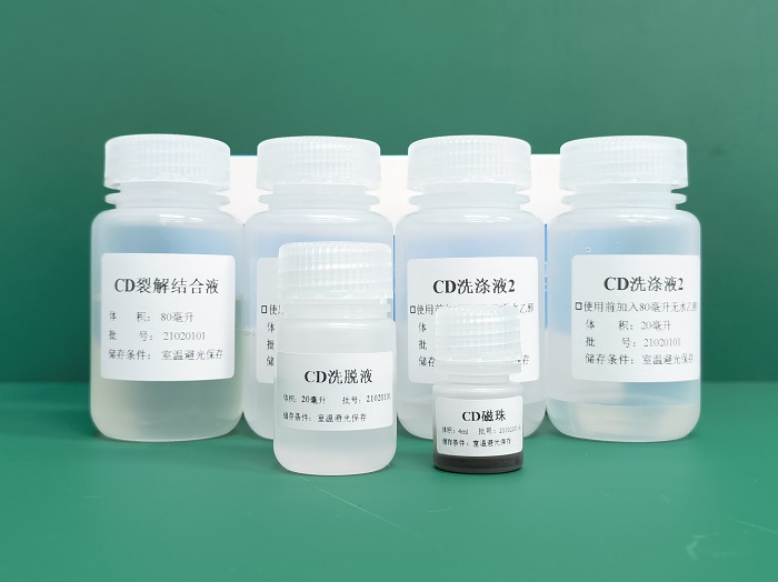 磁珠法核酸提取試劑提取原理是什么？操作過程及用途
